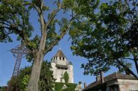 Cjp_2010_06_16_075122 (2).jpg